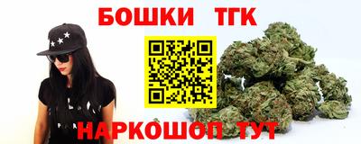 гидра Краснознаменск