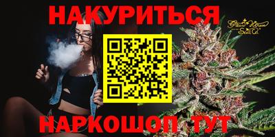 гидра Краснознаменск
