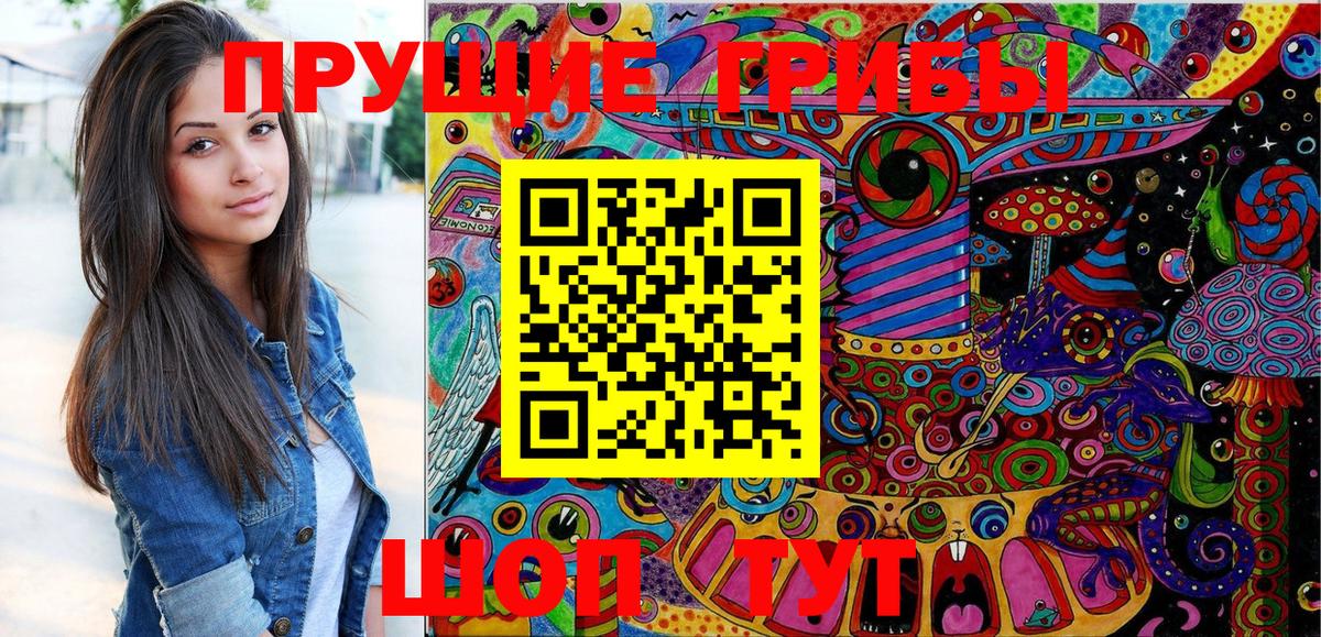 Галлюциногенные грибы Cubensis Егорьевск