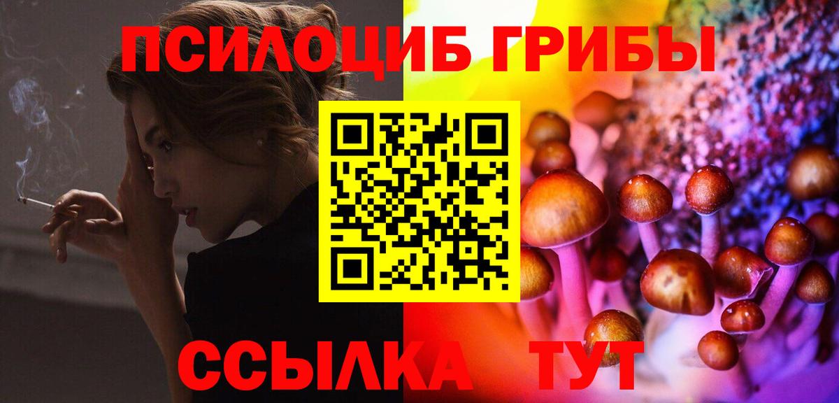 Егорьевск  Галлюциногенные грибы MAGIC MUSHROOMS  Псилоцибиновые грибы мухоморы  Вход с VPN 